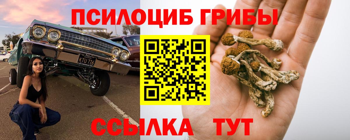 Галлюциногенные грибы Cubensis  Вход с VPN  как найти закладки  Кызыл 