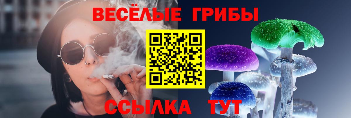 Галлюциногенные грибы мицелий Кызыл